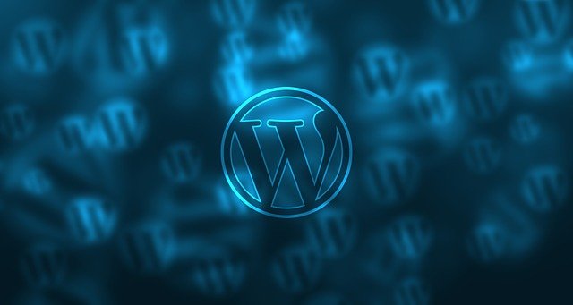 WordPress Website Development Company In South Delhi
